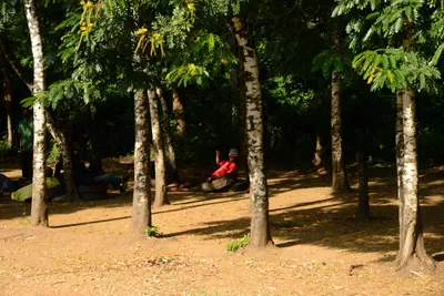 DSC_8457 (Large).JPG